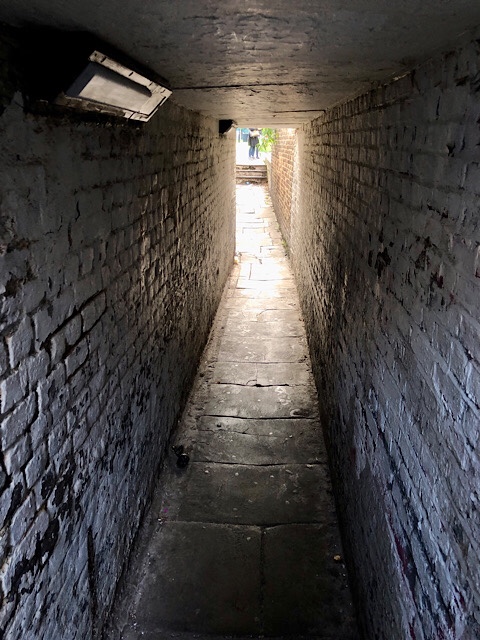Through the tunnel
