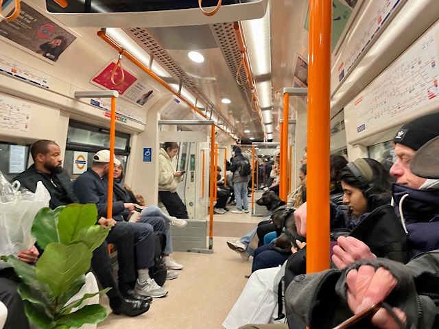 Aboard the Overground Photo by Tigger